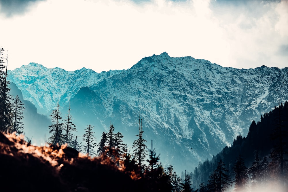 Delhi to Dehradun Cab by Jagannath Taxi Service